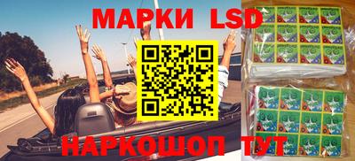 гидропоника Моздок