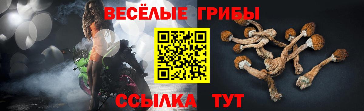 Видное  Псилоцибиновые грибы Cubensis  Вход с VPN 
